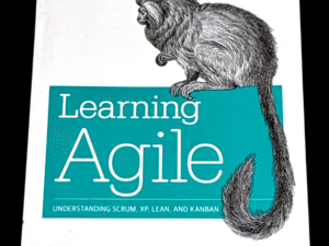Learning Agile