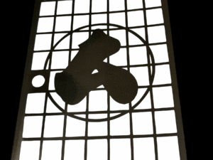 In Praise of Shadows