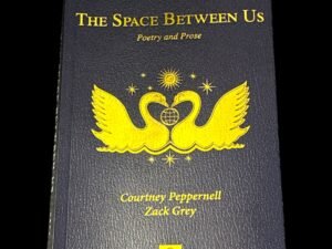 The Space Between Us (front)